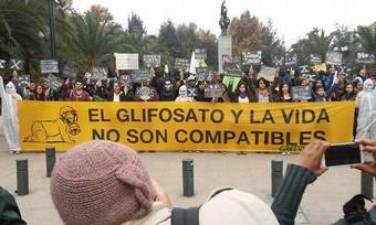 Perpinyà: “Pedimos al Gobierno que deje de utilizar glifosato en Pozuelo