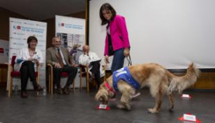 El Hospital 12 de Octubre demuestra los beneficios de la terapia asistida con animales en el tratamiento y rehabilitación de pacientes alcohólicos