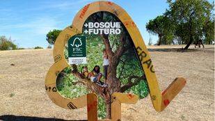 Pozuelo, capital de la gestión forestal y ambiental responsable de bosques y montes