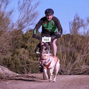 Pozuelo celebra un Mushing a beneficio de Amanecer Animal