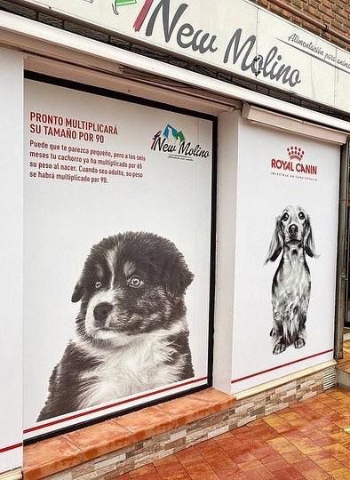 La mala realización de las obras en la calle Cirilo Palomo hace que los locales comerciales se inunden cuando llueve