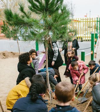 El Ayuntamiento planta 30 árboles en los colegios Infanta Elena y Pinar Prados de Torrejón