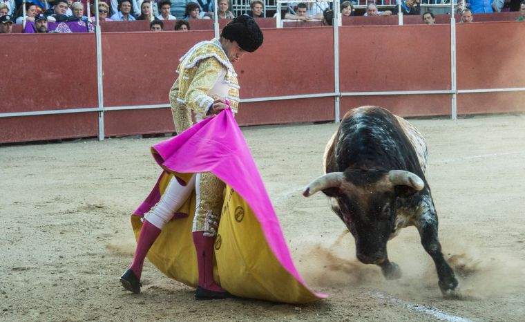 Retan a Pozuelo a un consulta local sobre la hipotética plaza de toros