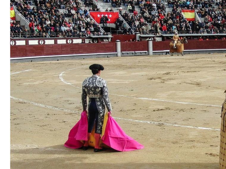 FFW alega a la plaza de toros de Pozuelo y pide mantener la parcela educativa