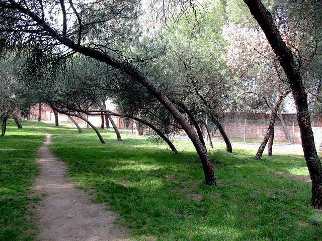 El Ayuntamiento acondiciona el parque Paseo Ermita-Villa Adriana de Moncloa-Aravaca