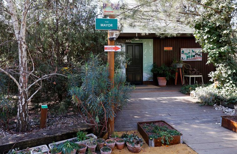 Arranca la nueva programación de primavera del Aula de Educación Ambiental de Pozuelo de Alarcón