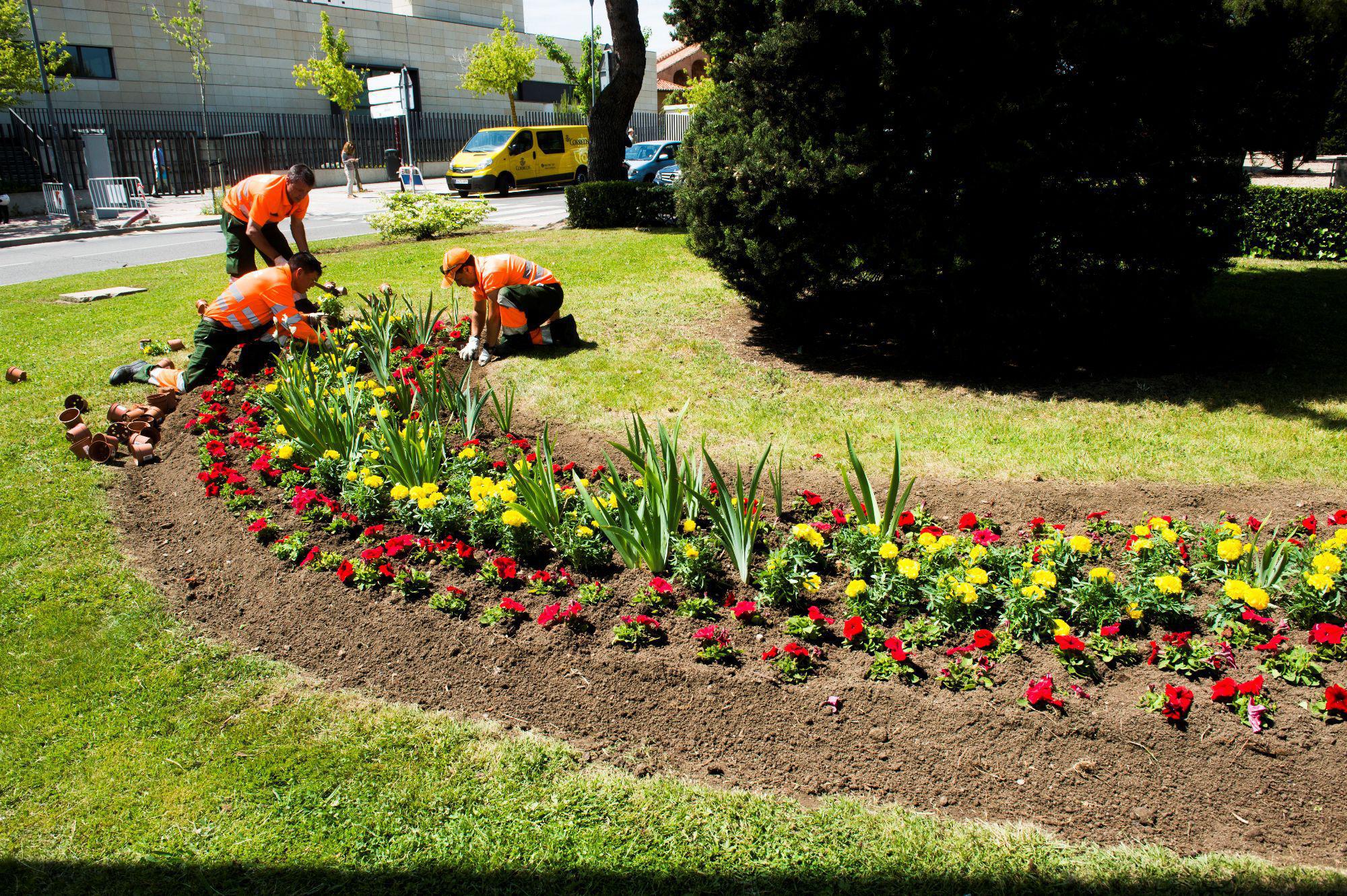 El Ayuntamiento anuncia una nueva plantación de flores y plantas de temporada en la ciudad