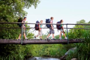 Planes de ocio, voluntariado, viajes o estudios para que los jóvenes de Pozuelo disfruten y expriman el verano