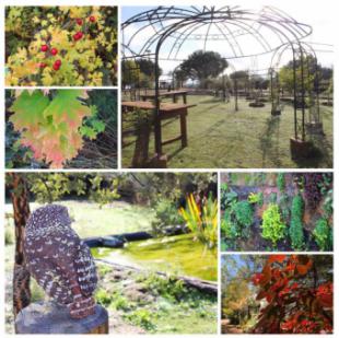 El Ayuntamiento impulsa el desarrollo sostenible y las actividades al aire libre en el Aula de Educación Ambiental