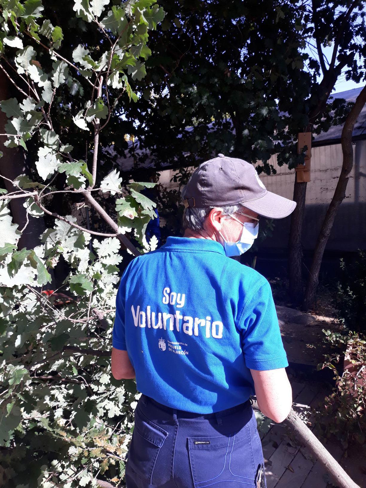 El Ayuntamiento impulsa el voluntariado ambiental como alternativa para la participación segura y saludable