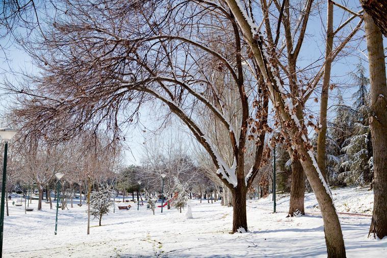 El Ayuntamiento de Pozuelo de Alarcón cierra los parques hasta que finalice el temporal