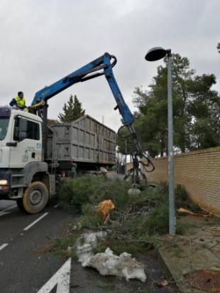 El Ayuntamiento intensifica las labores de recogida de restos de podas de ramas en mal estado