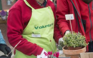 Impulso al voluntariado ambiental en Pozuelo de Alarcón tras la firma de un convenio con la Fundación Adecco