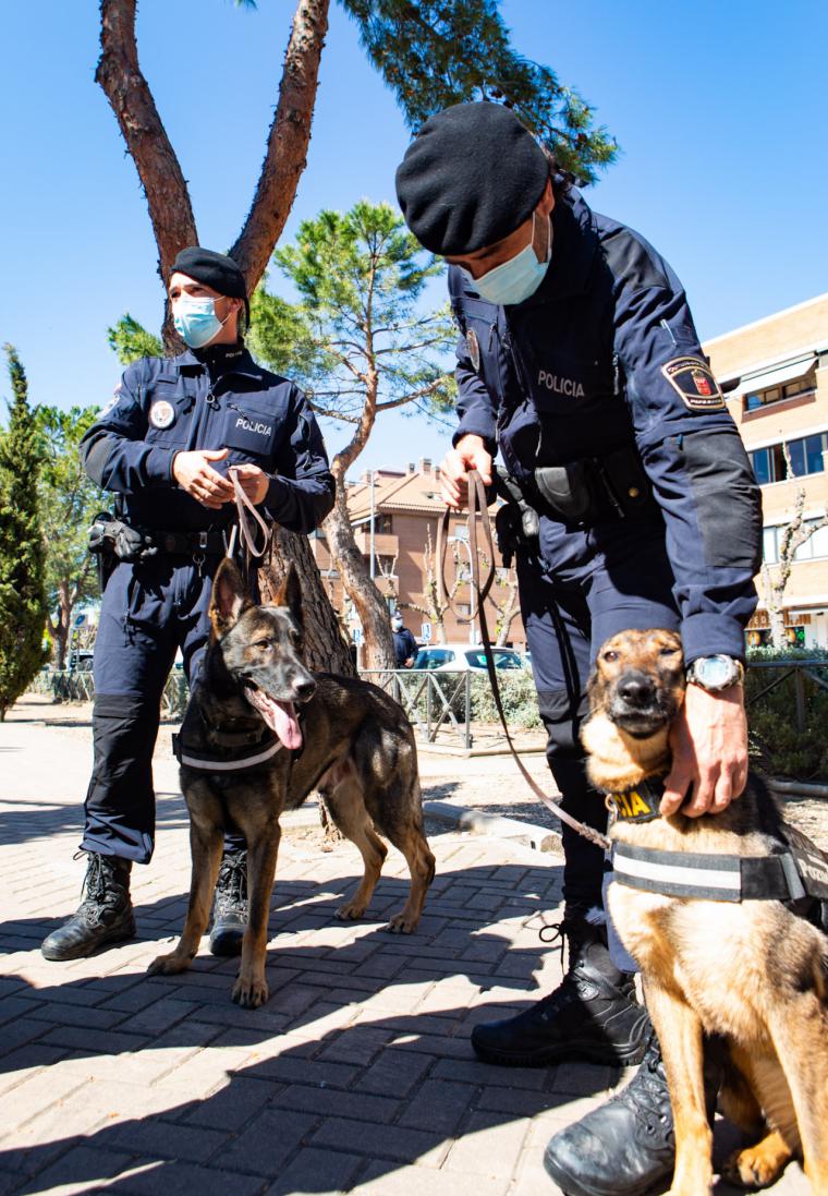 Pérez Quislant se interesa por el desarrollo de los controles policiales de seguridad en la ciudad