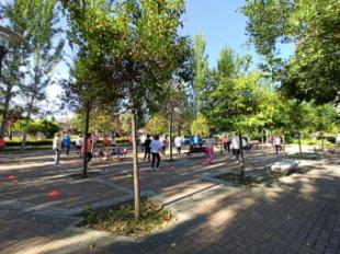 El Gobierno municipal de Pozuelo de Alarcón organiza sesiones de actividad física al aire libre para los mayores de la ciudad