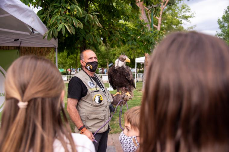 Actividades ambientales, teatro, exhibición de aves rapaces o talleres temáticos para celebrar el Día Mundial del Medio Ambiente