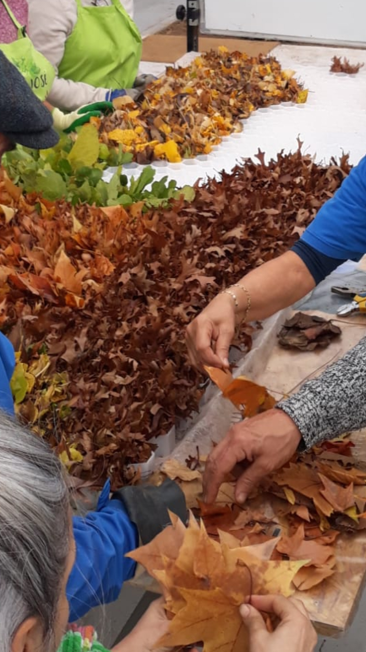 El Aula de Educación Ambiental de Pozuelo organiza talleres y actividades en torno a la Navidad