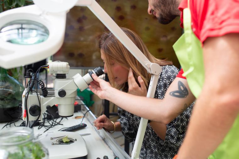 Guardería de Plantas en Pozuelo de Alarcón: cuidan tus plantas en vacaciones