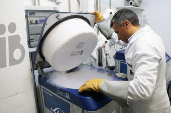 Más de 60.000 embriones congelados están abandonados en España