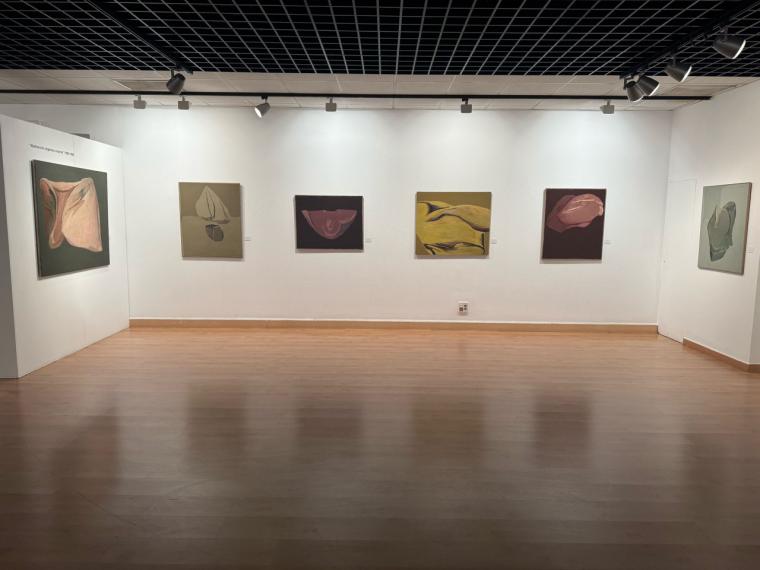 La extrañeza: La nueva exposición de Francisco Soto Mesa en el Centro Cultural MIRA
