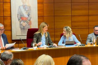 El Ayuntamiento de Pozuelo aprueba un presupuesto de 180 millones de euros para 2026 sin aumentar impuestos ni endeudarse