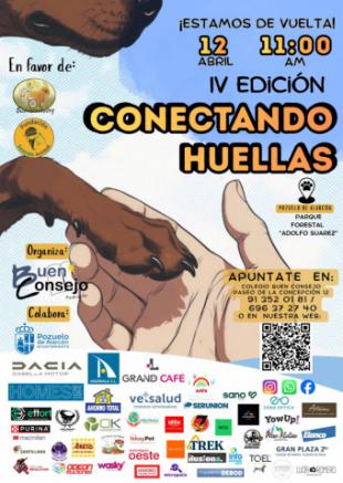 Pozuelo de Alarcón organiza la carrera solidaria ‘Conectando Huellas’ para combatir el maltrato animal