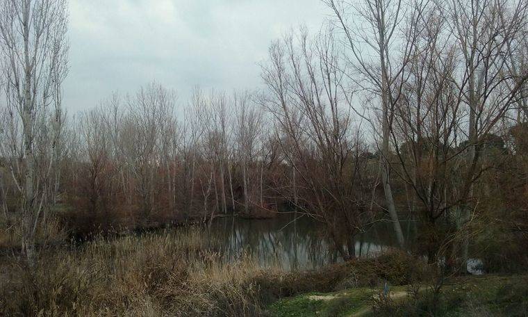 Ciudadanos, Somos Pozuelo y la conservación del humedal de Meaques