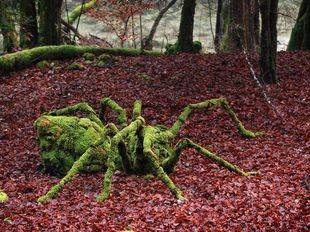 Pozuelo se une al Día Mundial del Parkinson con un taller de Land Art