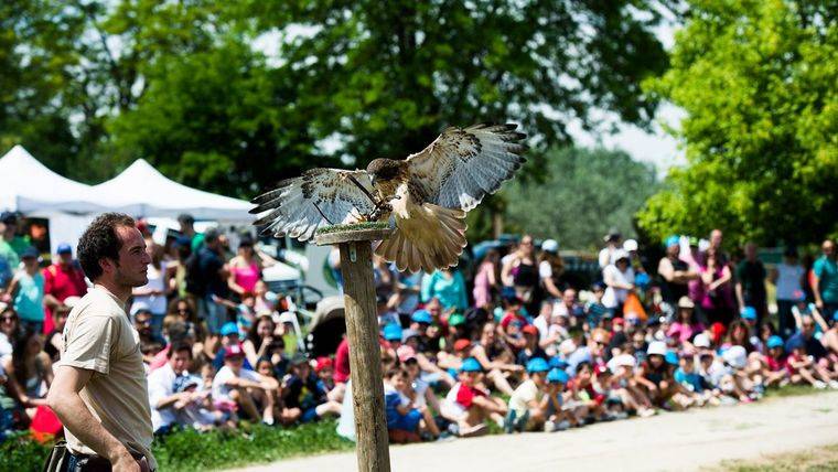 Jornada natural en el parque Adolfo Suárez de Pozuelo