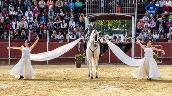 Sueños y pasión ecuestre en las Fiestas de Pozuelo