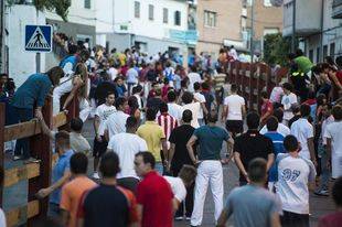 El gobierno regional autoriza cerca de 200 festejos taurinos populares como los de Pozuelo