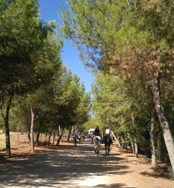 Miles de personas participan en la Fiesta de la Bicicleta de Pozuelo de Alarcón