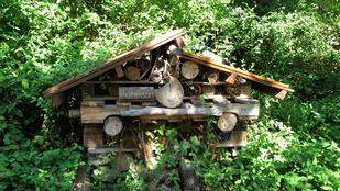 El otoño natural y educativo llega a Pozuelo