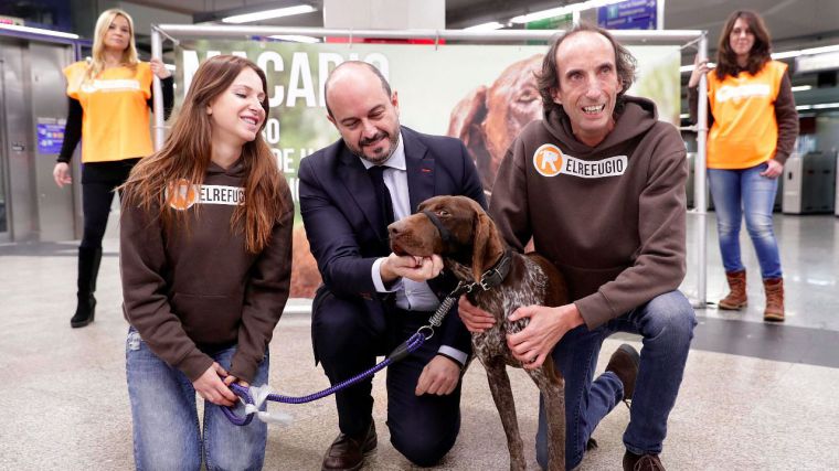 Nueva campaña para apoyar la adopción de animales abandonados