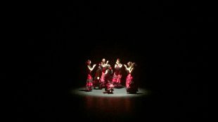 La actuación de la Escuela de Danza Trinidad Artíguez recauda 6.105 euros a favor de Cruz Roja Pozuelo