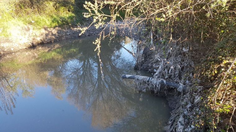 Somos Pozuelo denuncia 'crimen ambiental' en el Arroyo Vallelargo