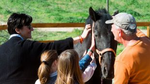 Actividades en Pozuelo para disfrutar de la primavera y la naturaleza