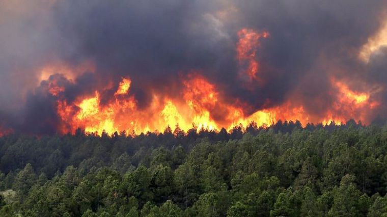 La Comunidad de Madrid impulsa la prevención de incendios