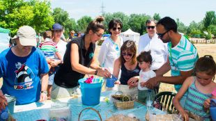 Día Mundial del Medio Ambiente en Pozuelo con talleres, exhibiciones y concursos