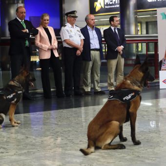 Cifuentes celebra el éxito del acceso de los perros al Metro, más de 135.000 en un año
