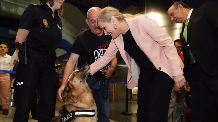 Cifuentes celebra el éxito del acceso de los perros al Metro, más de 135.000 en un año