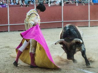 Pozuelo de Alarcón despidió sus fiestas patronales con música, toros y la ofrenda de velas a la Virgen