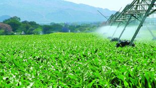 Innovación y nuevos perfiles profesionales en el sector agrícola