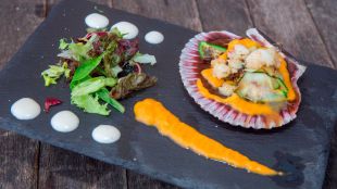El Ayuntamiento organiza las primeras jornadas gastronómicas “Pozuelo de Tapas y en Dulce” a la que ya se pueden inscribir los hosteleros
