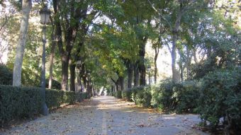 Madrid presenta la candidatura del Retiro y el Paseo del Prado como Patrimonio Mundial