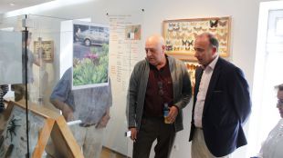 El Centro Cultural Padre Vallet acoge una exposición sobre el fascinante mundo de los insectos