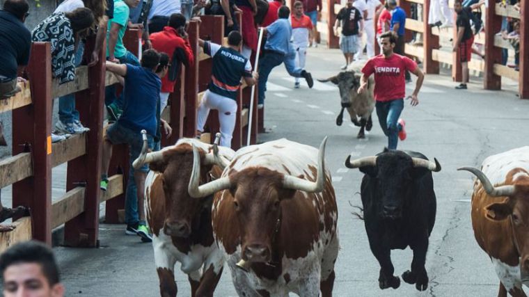 Programación para hoy de las fiestas de Pozuelo de Alarcón