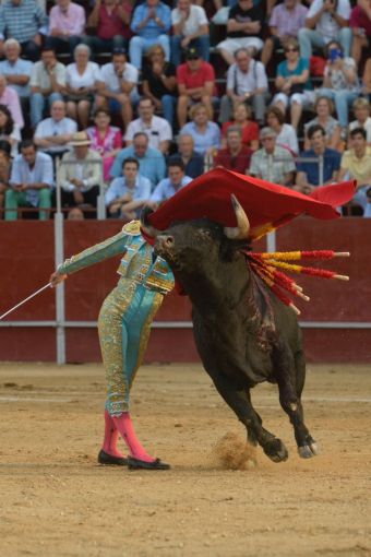 Pozuelo de Alarcón despide sus fiestas patronales en honor a Nuestra Señora de la Consolación