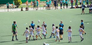 Festival Nacional de Rugby Sub-12 en el Valle de las Cañas de Pozuelo de Alarcón