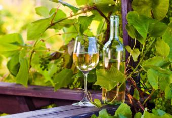 El vino blanco: 13 mitos y propiedades